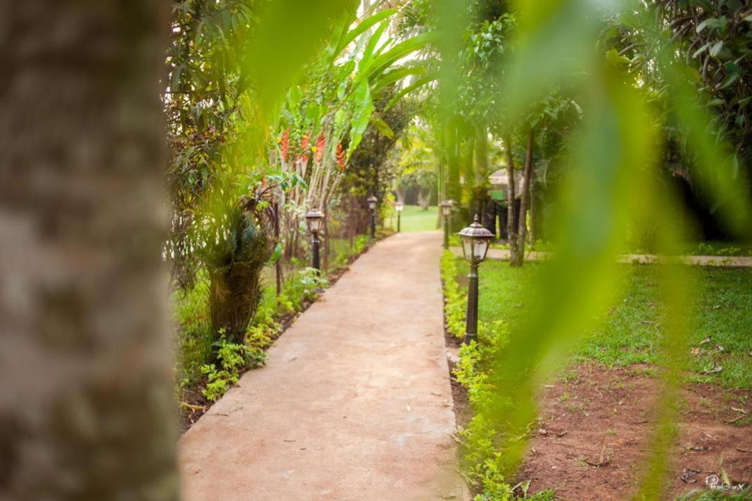 Village Noah Yaoundé Eksteriør bilde